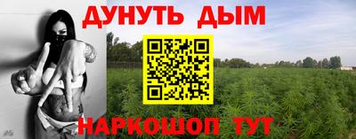 каннабис Дубна