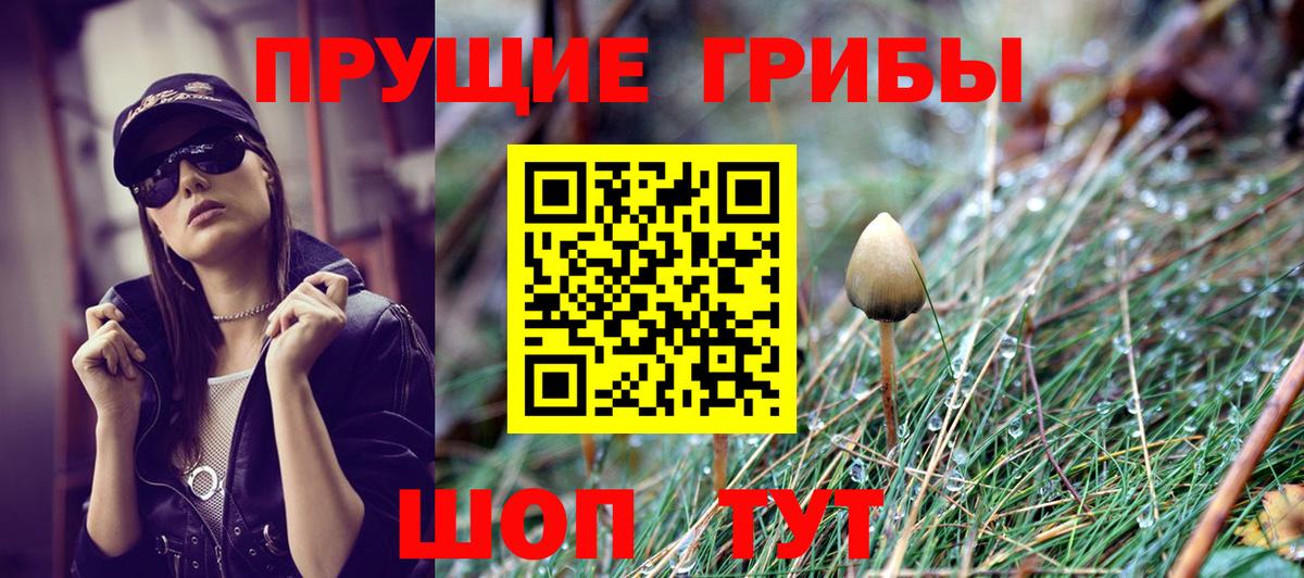 Псилоцибиновые грибы MAGIC MUSHROOMS  Галлюциногенные грибы GOLDEN TEACHER  Энгельс  Вход с VPN 