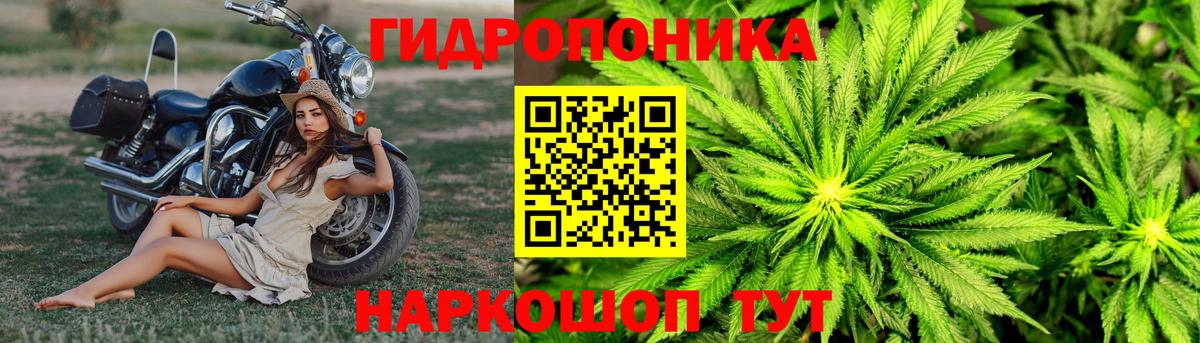 Шишки марихуана марихуана Энгельс