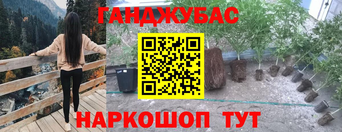 Бошки Шишки гибрид  Вход с VPN  Энгельс  Шишки марихуана AK-47 